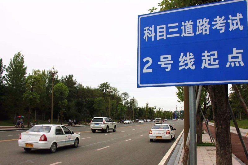 驾照考试：从新手到熟练司机的必经之路